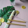 Bamboe rietjes set van 2 (inclusief borstel)